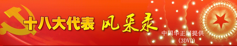 电视专题片《十八大代表风采录》