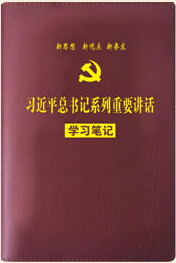 习近平总书记系列重要讲话学习笔记