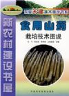 新农村建设书屋：食用山药栽培技术图说