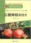构建和谐新农村系列丛书·种植类：石榴种植新技术