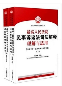 最高人民法院民事诉讼法司法解释理解适用
