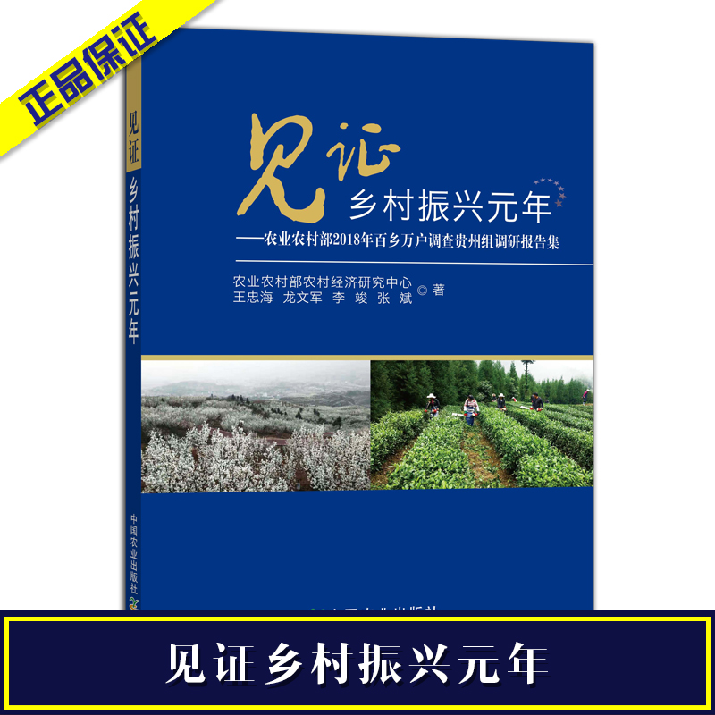 见证乡村振兴元年