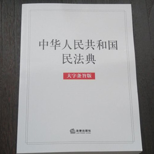 中华人民共和国民法典（大字条旨版）